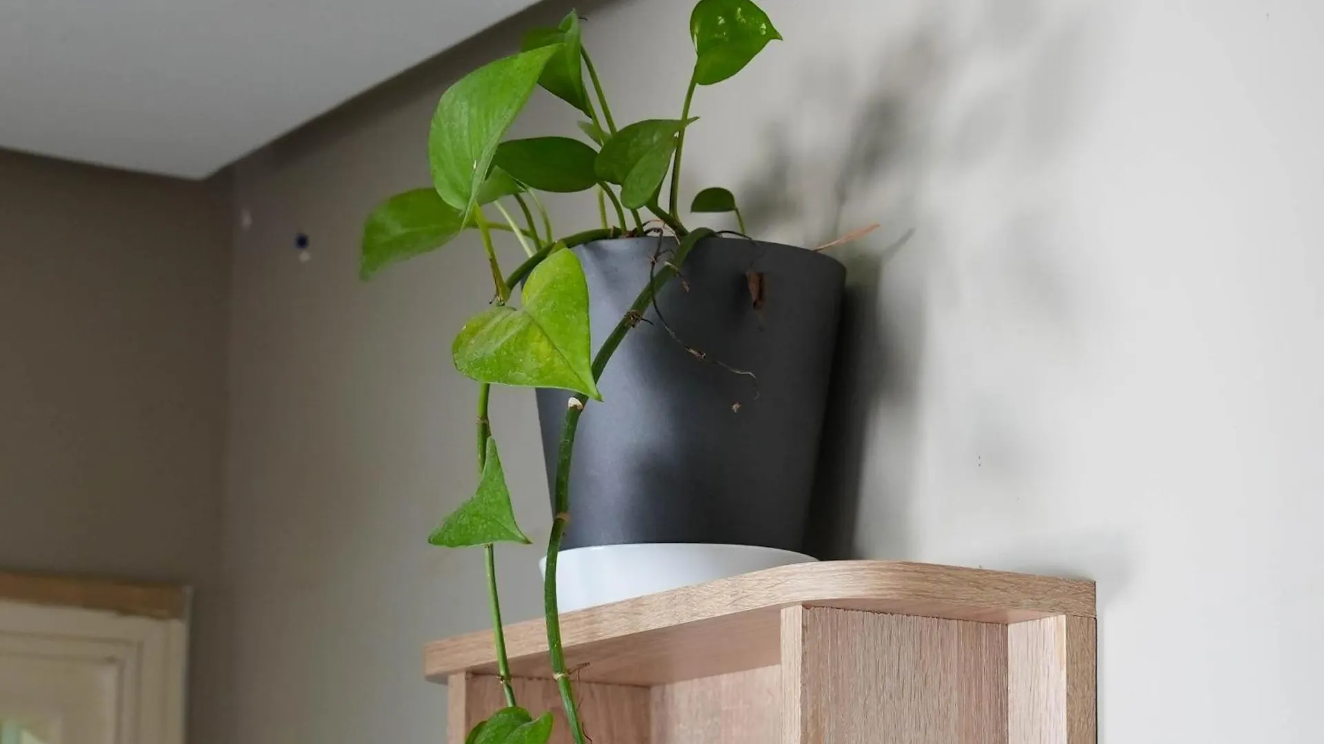Apartament La Casa Boheme - Cozy Bohemian Retreat In Agadir